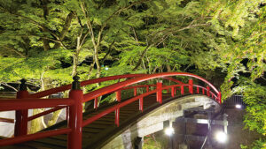 暗闇で愛でる 花と緑 前橋と渋川でライトアップ開催中 - 朝日ぐんま